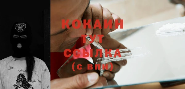 дживик Аркадак