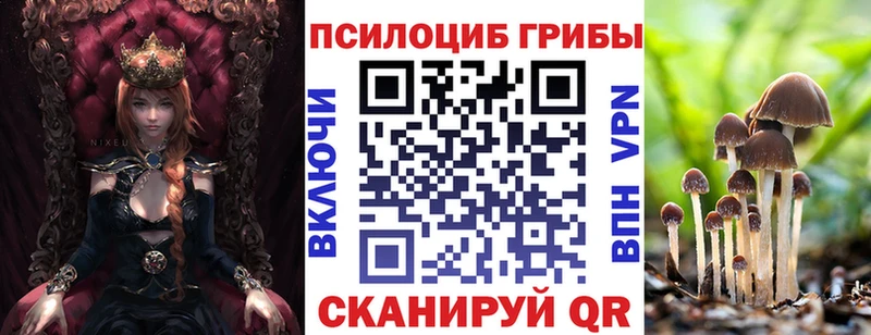 Псилоцибиновые грибы мицелий  Протвино 